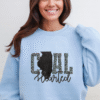 illinois coal hearted teal leopard print sweatshirt