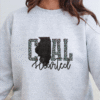 illinois coal hearted teal leopard print sweatshirt
